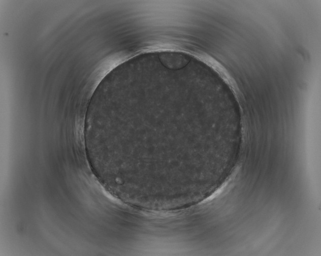 X0000111421337200908101048