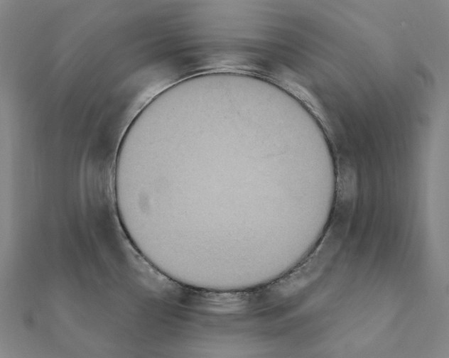 X0000111421338200908101048