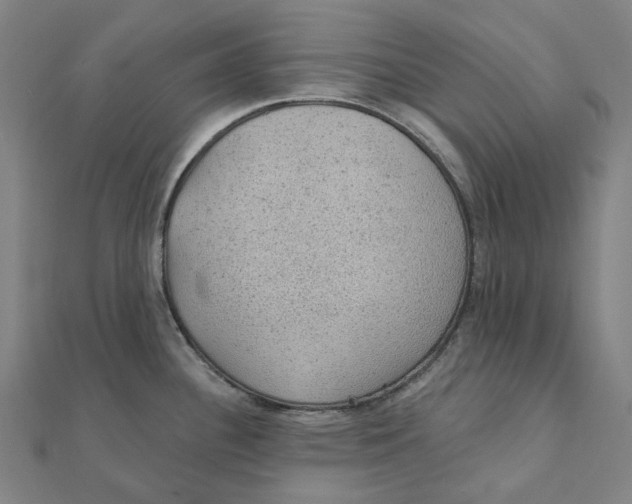 X0000111421340200908101048