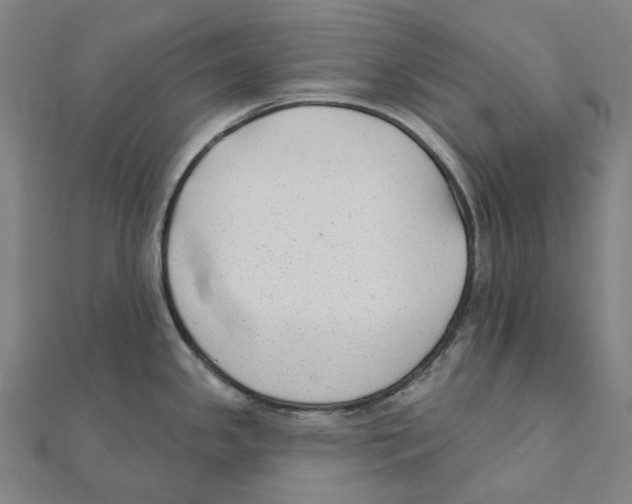 X0000111421341200908101048