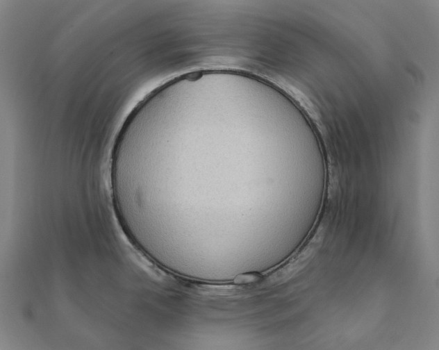 X0000111421342200908101048