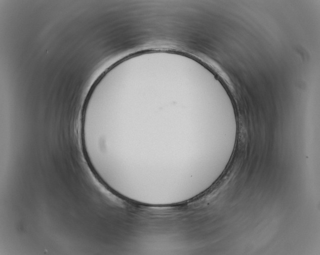 X0000111421343200908101048