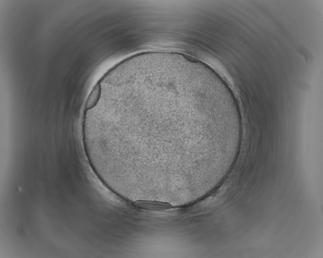 X0000111421344200908101048