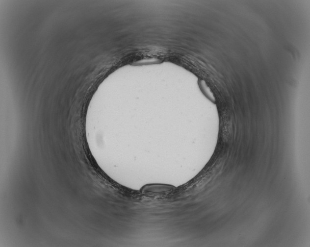 X0000111421345200908101047