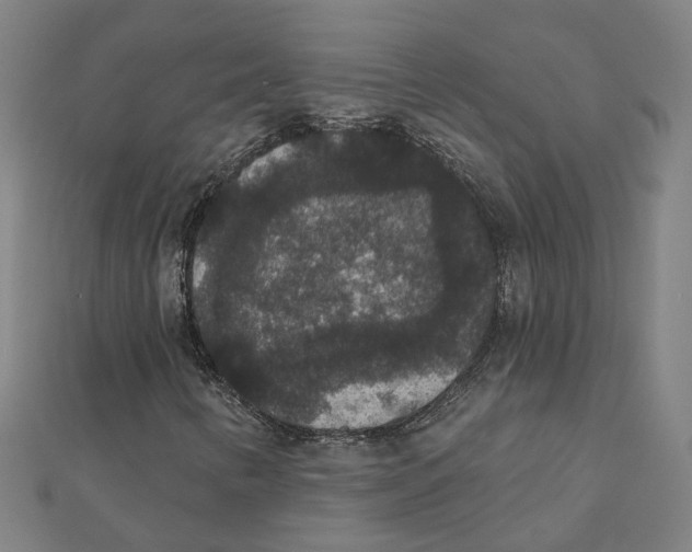 X0000111421346200908101047