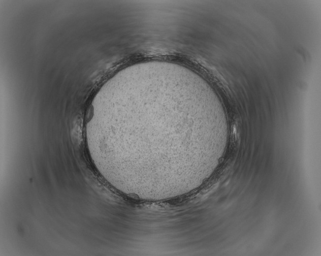 X0000111421348200908101047