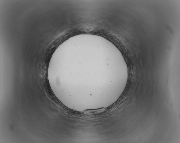 X0000111421349200908101047