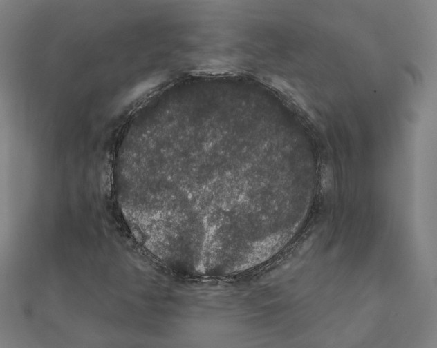X0000111421350200908101047