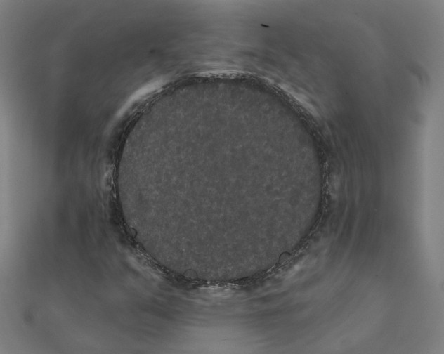 X0000111421351200908101047