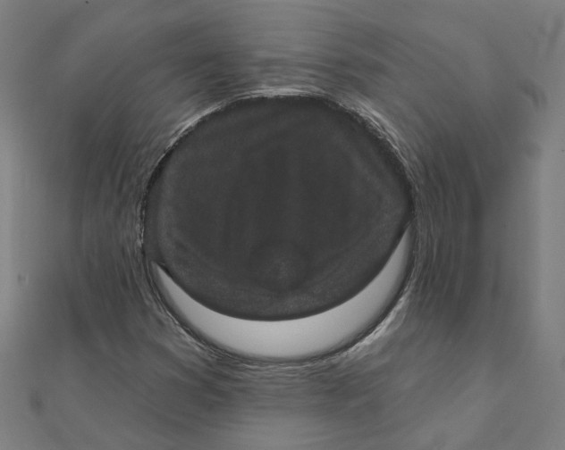 X0000111421353200908101047