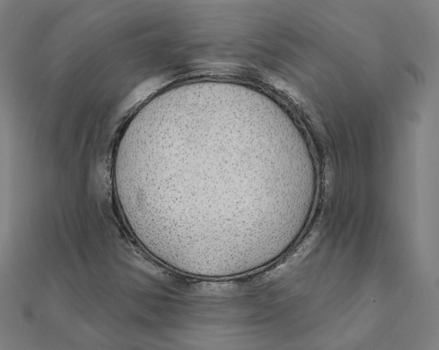 X0000111421354200908101047