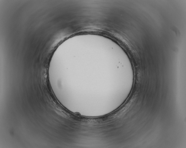 X0000111421355200908101047