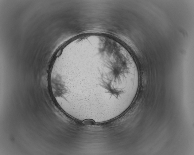 X0000111421356200908101047