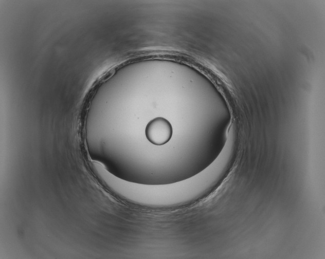 X0000111421357200908101047