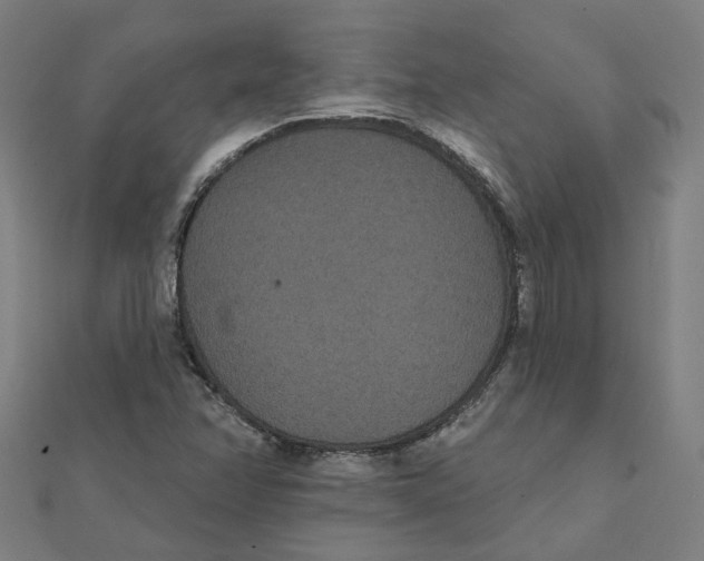 X0000111421358200908101047