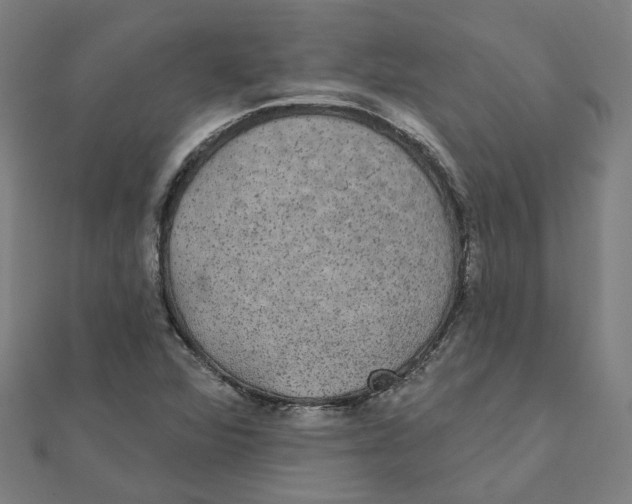 X0000111421360200908101047