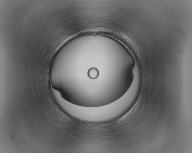 X0000111421361200908101047