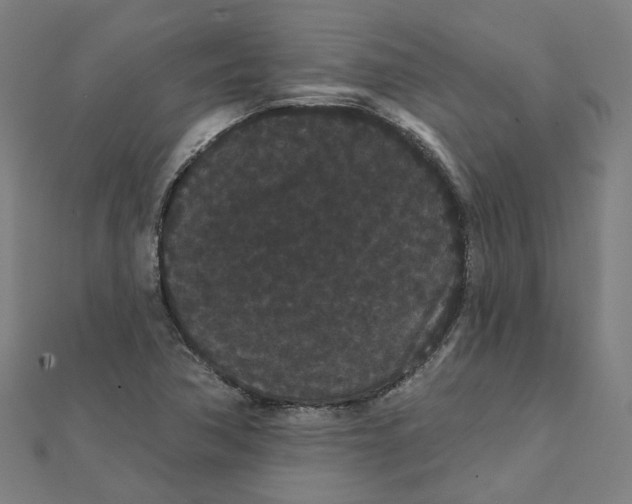 X0000111421362200908101047