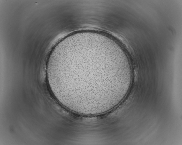 X0000111421363200908101047