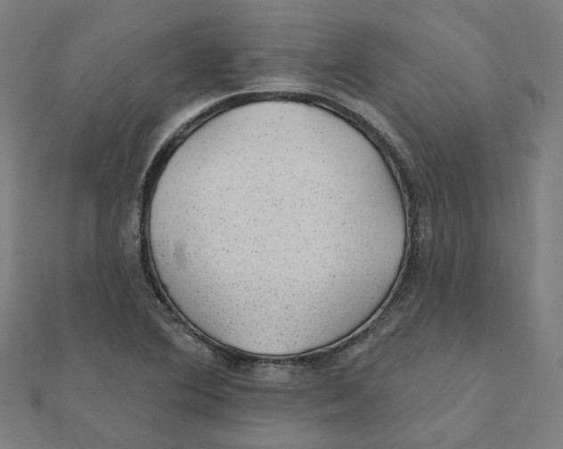 X0000111421364200908101047
