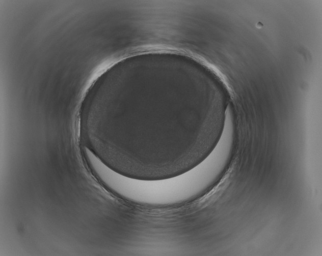 X0000111421365200908101047