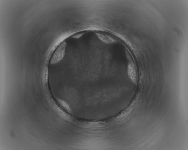 X0000111421367200908101047