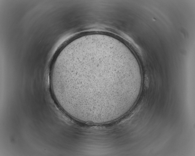 X0000111421368200908101047
