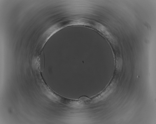 X0000111421369200908101047