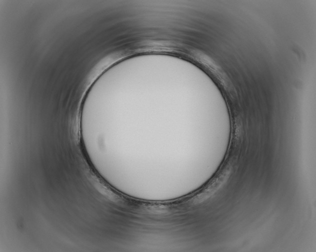 X0000111421370200908101047