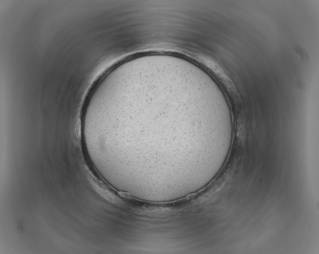 X0000111421372200908101047