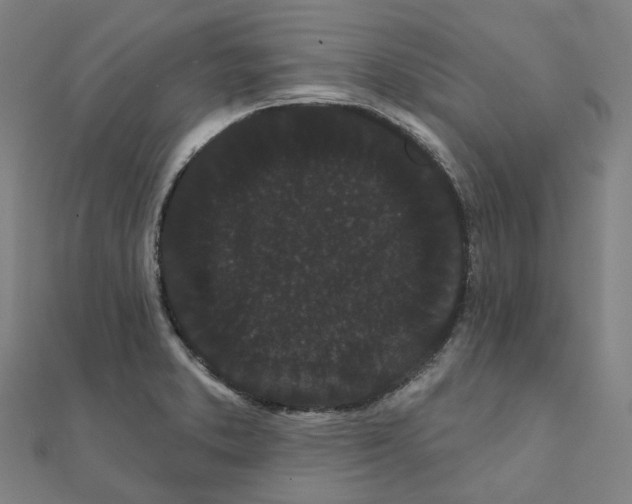 X0000111421373200908101047