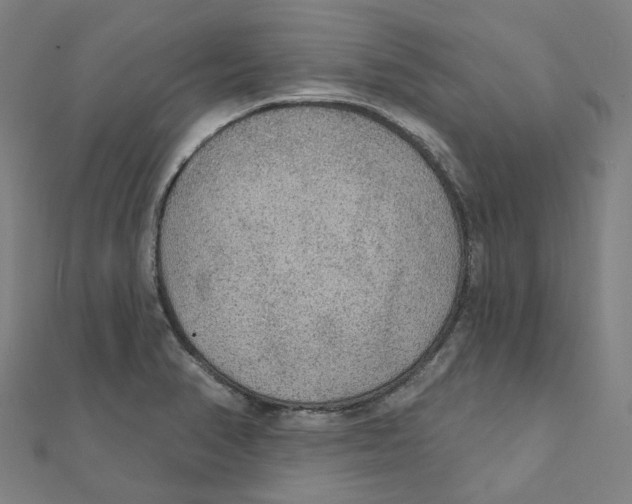 X0000111421374200908101047