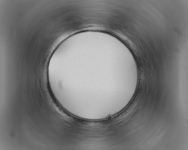 X0000111421375200908101047