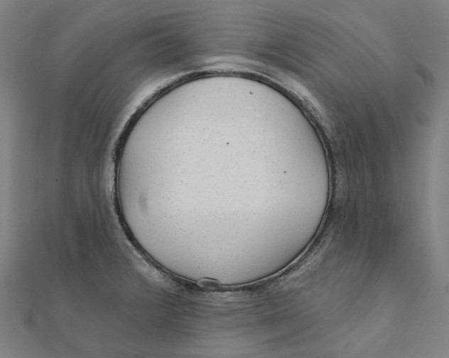 X0000111421376200908101047