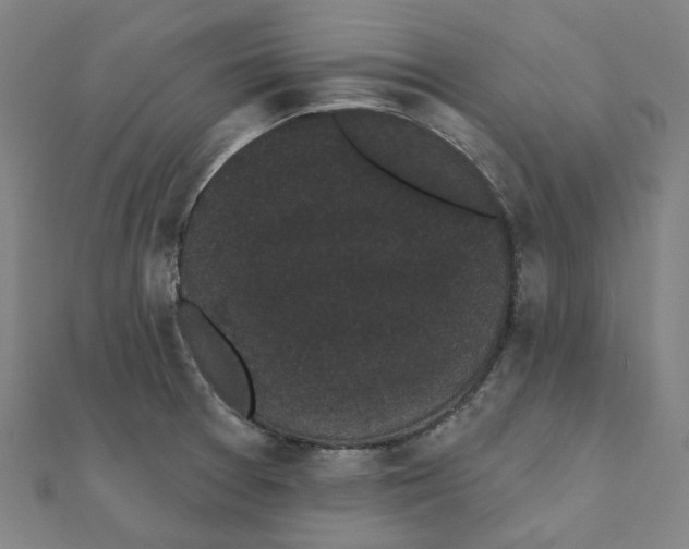 X0000111421377200908101047