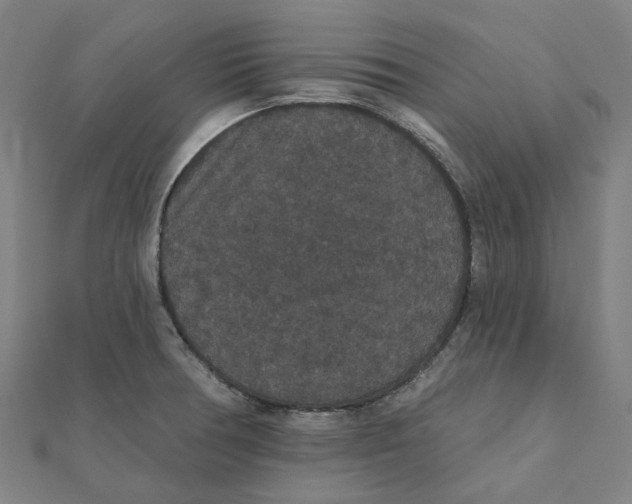 X0000111421378200908101047