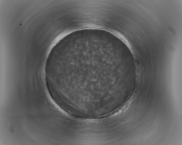 X0000111421381200908101047