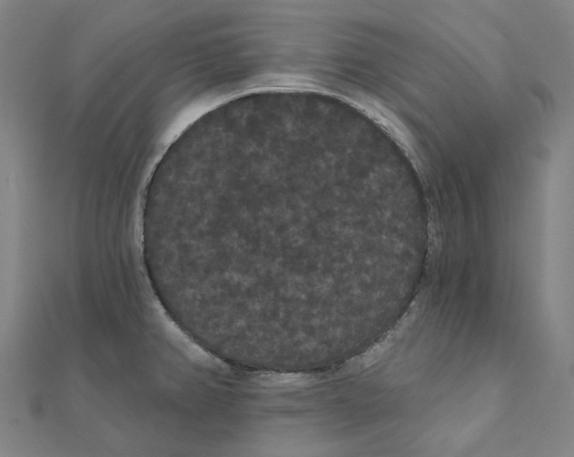 X0000111421382200908101047