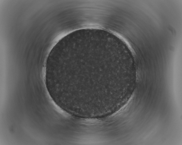 X0000111421383200908101047