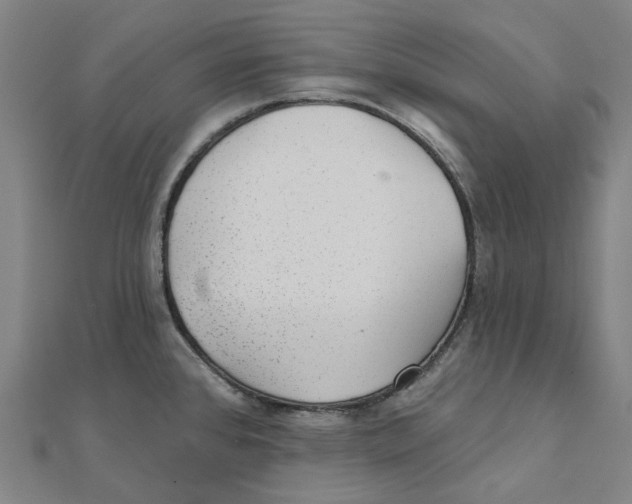 X0000111421384200908101047