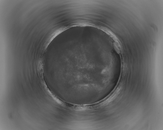 X0000111421385200908101047