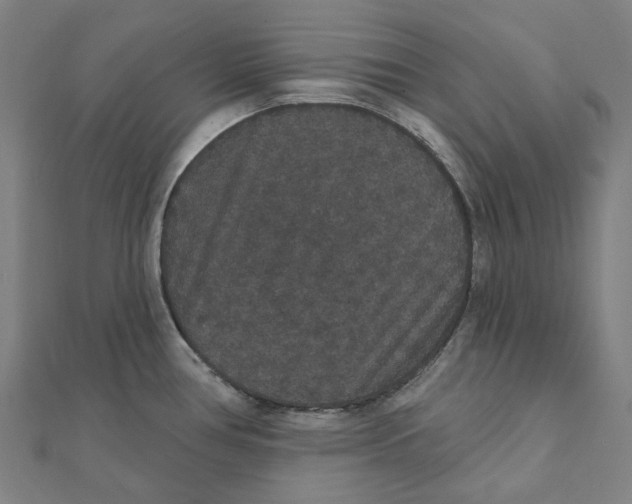 X0000111421386200908101047
