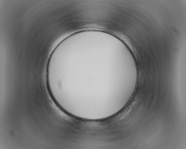 X0000111421387200908101047
