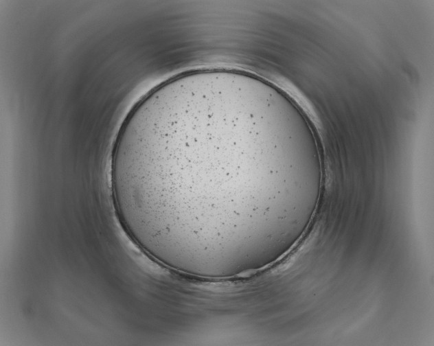 X0000111421388200908101047