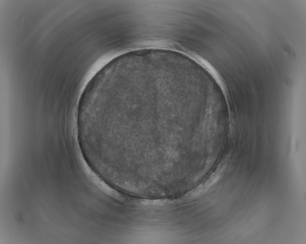 X0000111421389200908101047