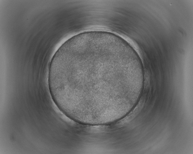 X0000111421390200908101047