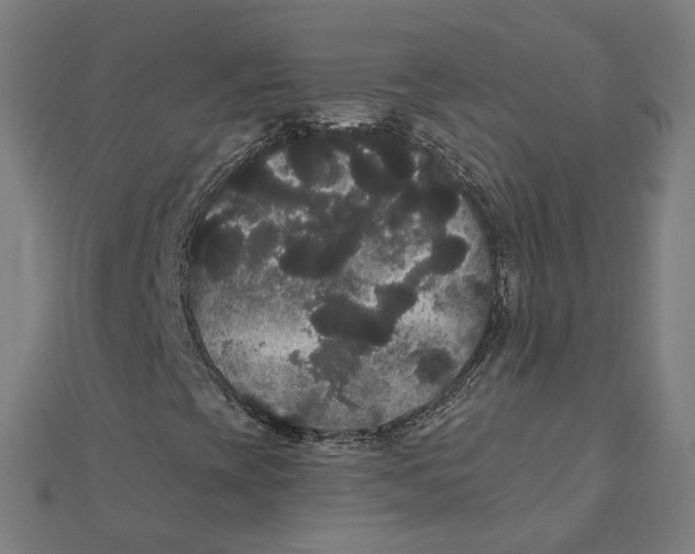 X0000111421393200908101046