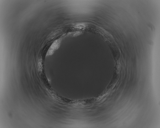 X0000111421394200908101046