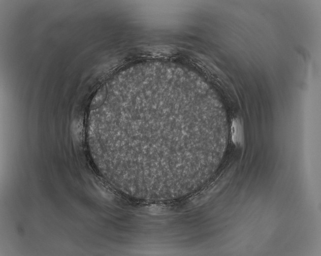 X0000111421395200908101046