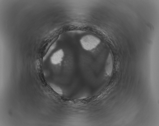 X0000111421397200908101046